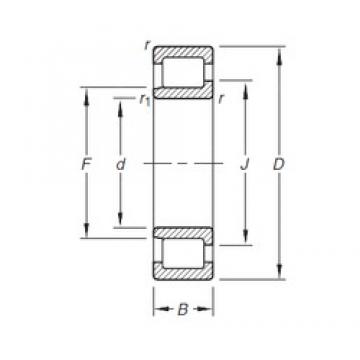 17 mm x 40 mm x 12 mm  Timken NJ203E.TVP Rolamentos cilíndricos