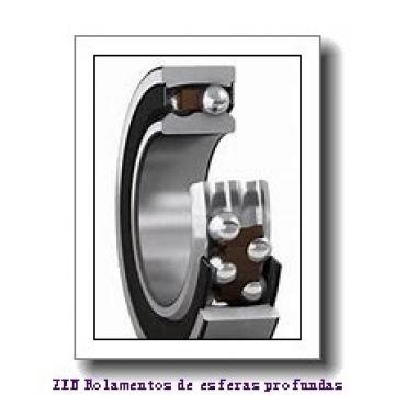 13 mm x 24 mm x 6 mm  ZEN 619/13.TNH Rolamentos de esferas profundas