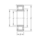 17 mm x 40 mm x 12 mm  Timken NJ203E.TVP Rolamentos cilíndricos