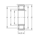 25 mm x 62 mm x 17 mm  Timken NU305E.TVP Rolamentos cilíndricos