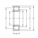 25 mm x 62 mm x 17 mm  Timken NUP305E.TVP Rolamentos cilíndricos